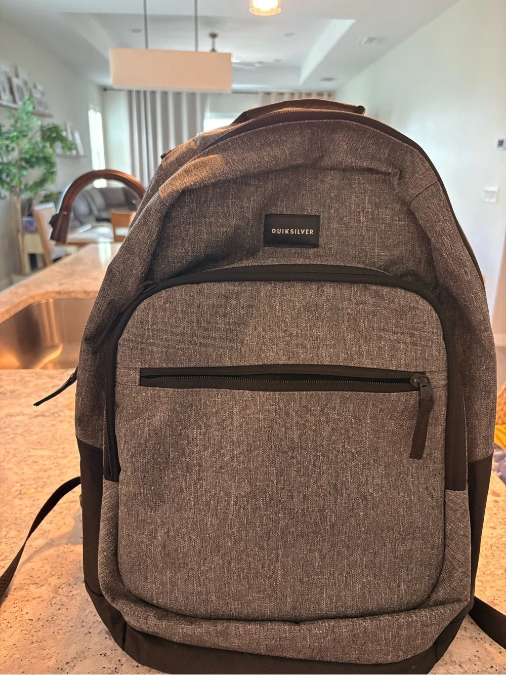 Quiksilver Gray Textured Everyday Backpack
